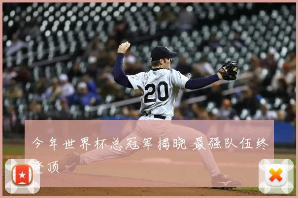 今年世界杯总冠军揭晓 最强队伍终登顶