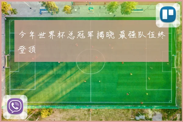 今年世界杯总冠军揭晓 最强队伍终登顶