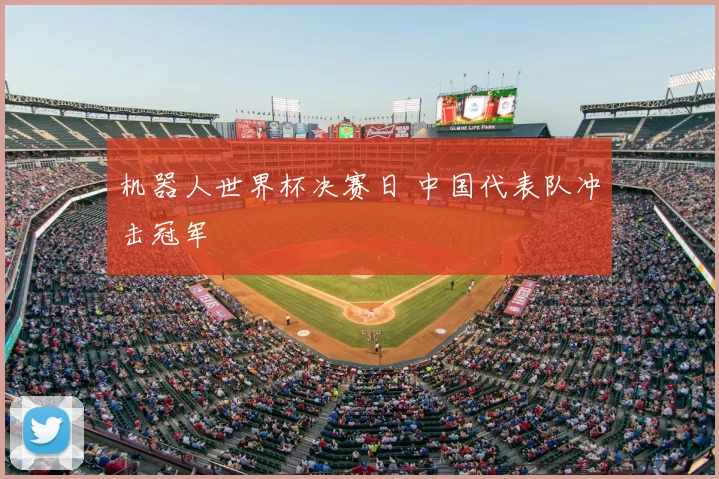 机器人世界杯决赛日 中国代表队冲击冠军