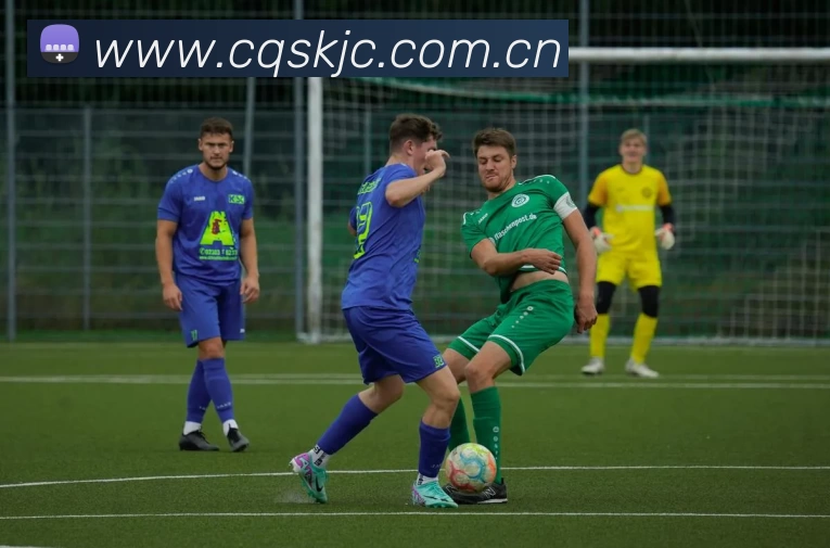 俄罗斯世界杯中国官网平台生态图